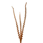 VARA DE PALMERA ZING