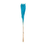 POMO PLUMAS SECO *FUXIA