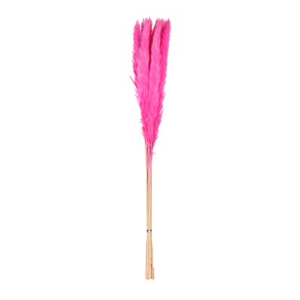 POMO PLUMAS SECO *FUXIA