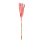 POMO PLUMAS SECO *FUXIA