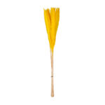 POMO PLUMAS SECO *FUXIA