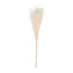 POMO PLUMAS SECO