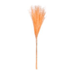 POMO PLUMAS SECO
