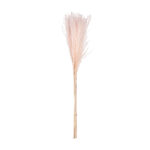 POMO PLUMAS SECO