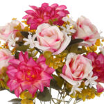 R. DHALIA/CAPULLO GIG. *FUXIA