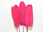 LUFFA 10-15