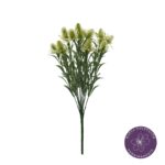 R. ERYNGIUM