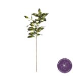 VARA HOJA BANIANO 81CM