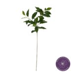 VARA HOJA BANIANO 81CM