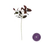 VARA HOJA BANIANO 81CM