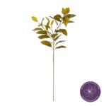VARA HOJA BANIANO 81CM