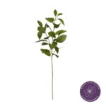 VARA HOJA BANIANO 81CM