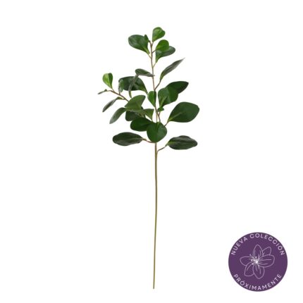 VARA EUCALIPTO DOLAR 81CM