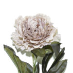 VARA PEONIA SEMILLA *CAFÉ