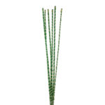 PALM HALLOW STICK