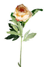 VARA PEONIA ARTIFICIAL 80CM *AMARILLO