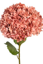 VARA HORTENSIA GIGANTE 110CM