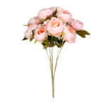 R.PEONIA X9