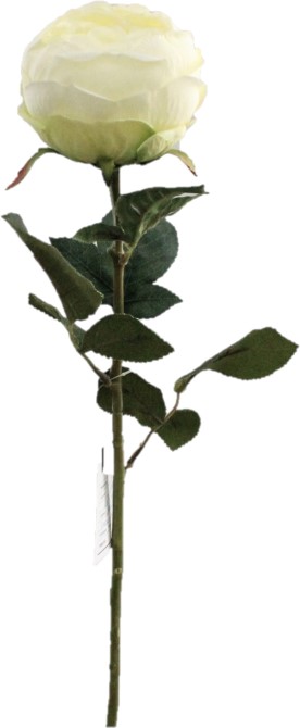 VARA ROSA CABBAGE *BLANCO