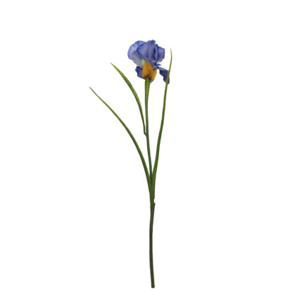 VARA IRIS *AZUL