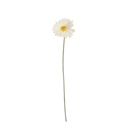 VARA GERBERA *BLANCO