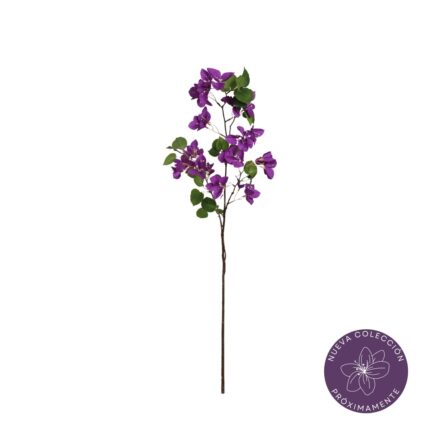 VARA BUGANVILLA *VIOLETA