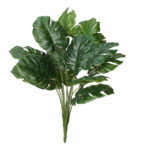 MATA COSTILLA ADAN