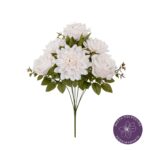 R. ROSAS/DHALIA