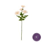VARA PEONIA ARBOREA X4