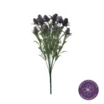R. ERYNGIUM