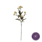 VARA THALICTRUM OTOÑAL