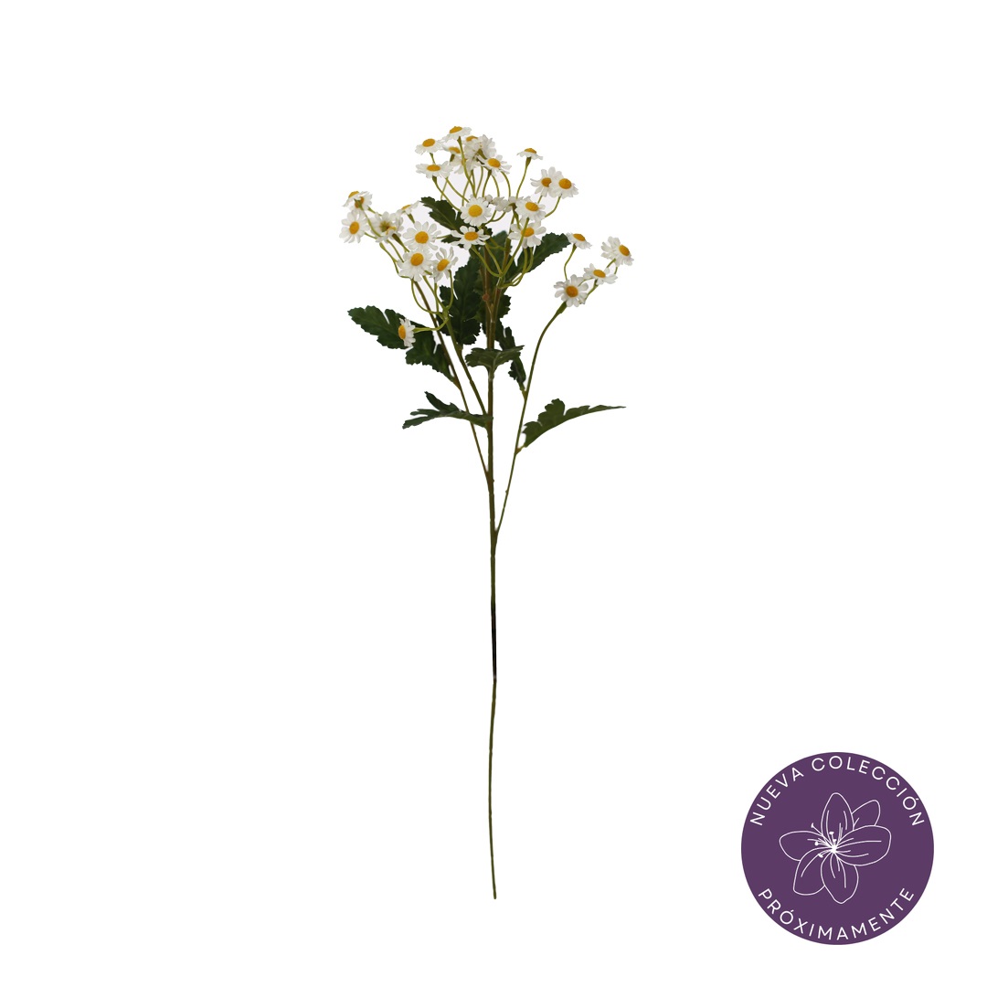 99052012-0.jpg VARA MANZANILLA