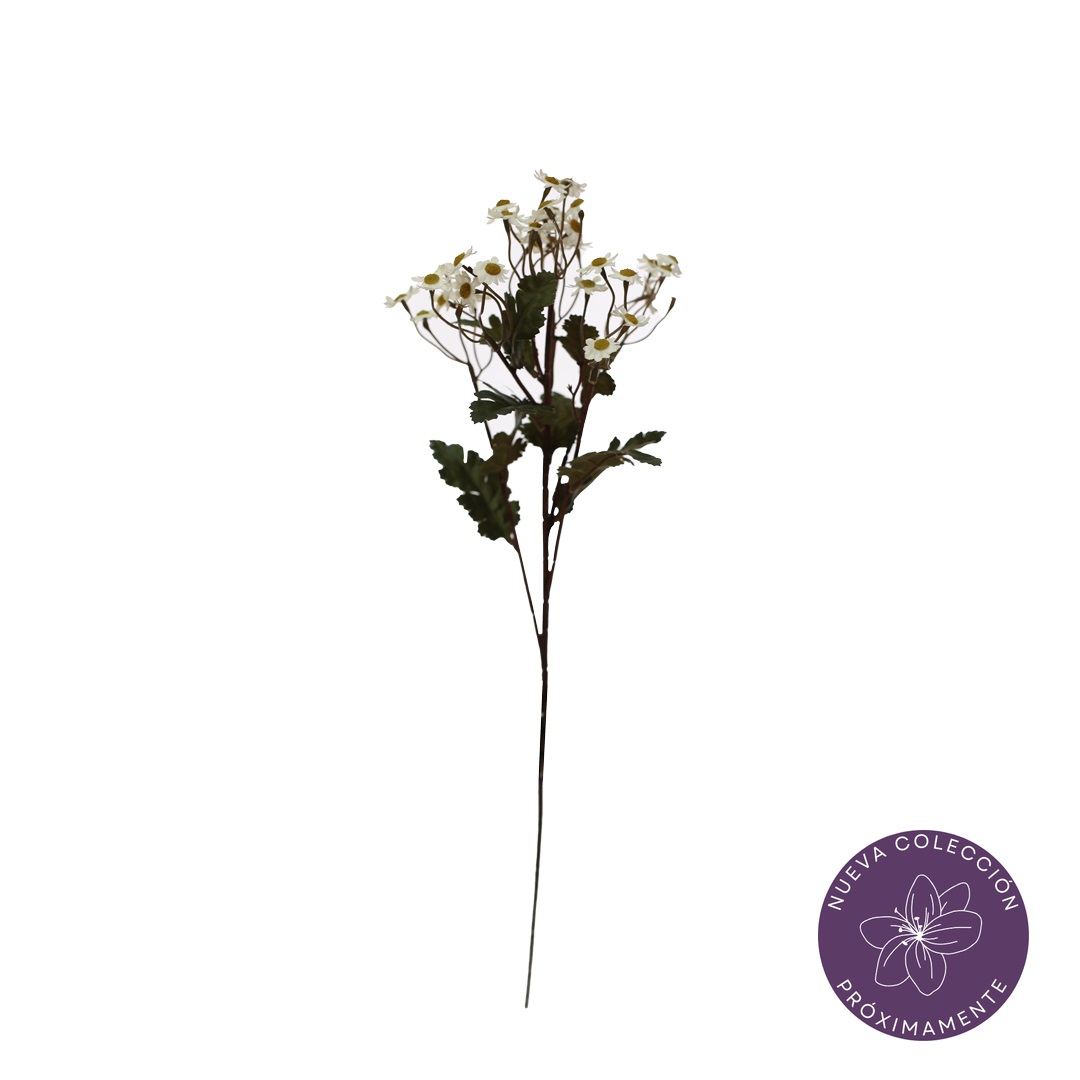 99052013-9.jpg VARA MANZANILLA OTOÑAL