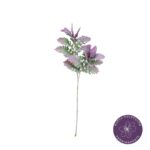 VARA SENECIO CINARA