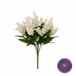 R. ASTILBE