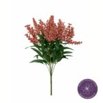 R. ASTILBE
