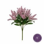 R. ASTILBE