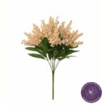 R. ASTILBE