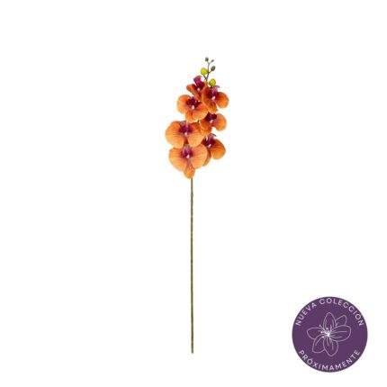 VARA ORQUIDEA *NARANJA