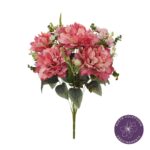 R. PEONIA/ RELLENO