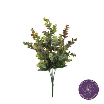 R. EUCALIPTO *V.OSCURO