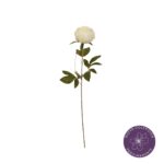 PEONIA CORAL CHARM *BLANCO