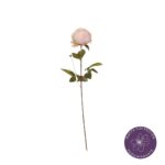 PEONIA CORAL CHARM