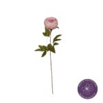 PEONIA CORAL CHARM