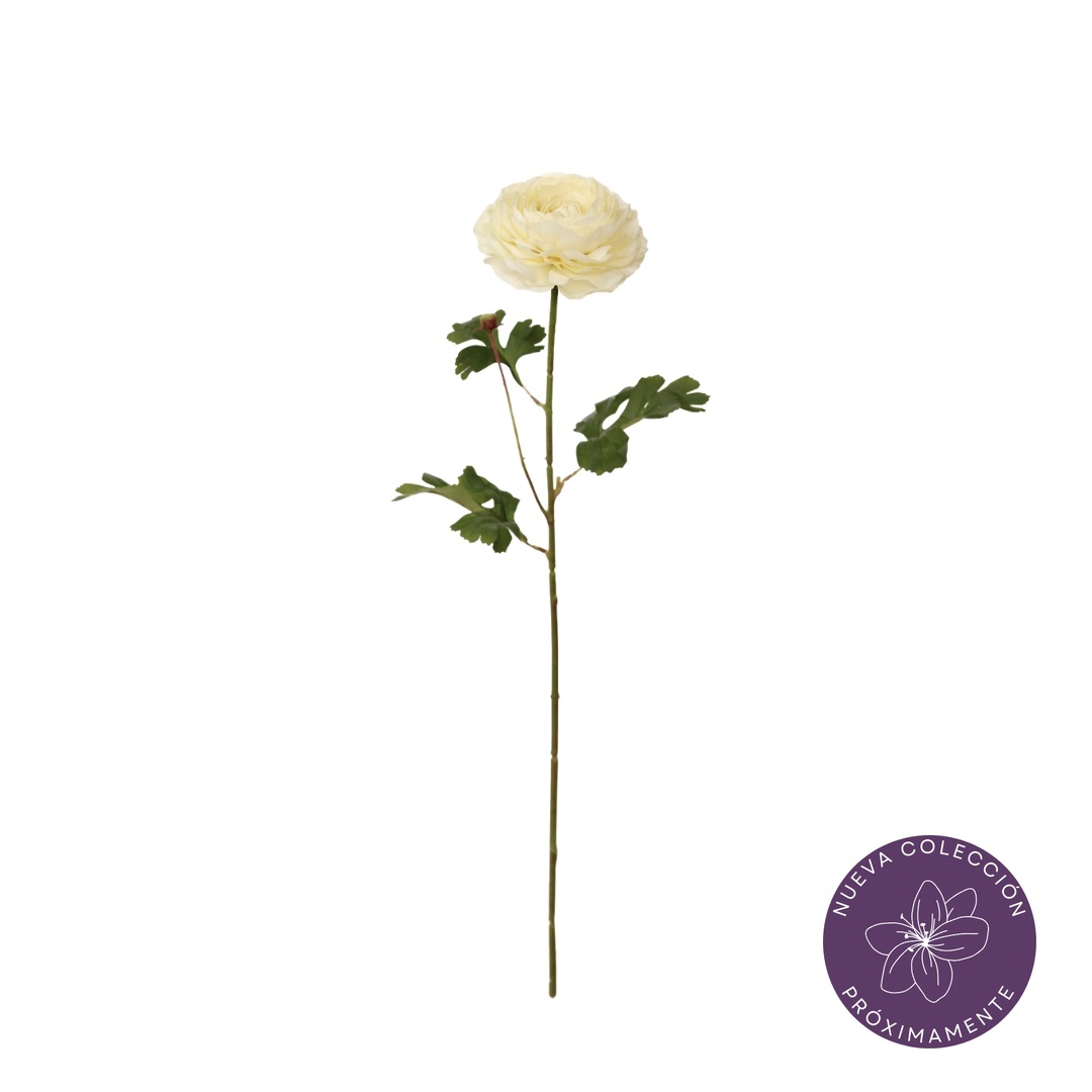 99096431-0.jpg VARA PEONIA *BLANCO