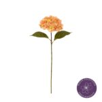 VARA HORTENSIA MACROPHYLLA