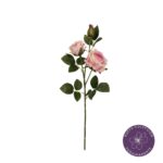 VARA ROSA GRANDIFLORA X2