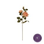 VARA ROSA GRANDIFLORA X2