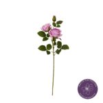 VARA ROSA GRANDIFLORA X2