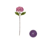 VARA HORTENSIA PRIMAVERAL